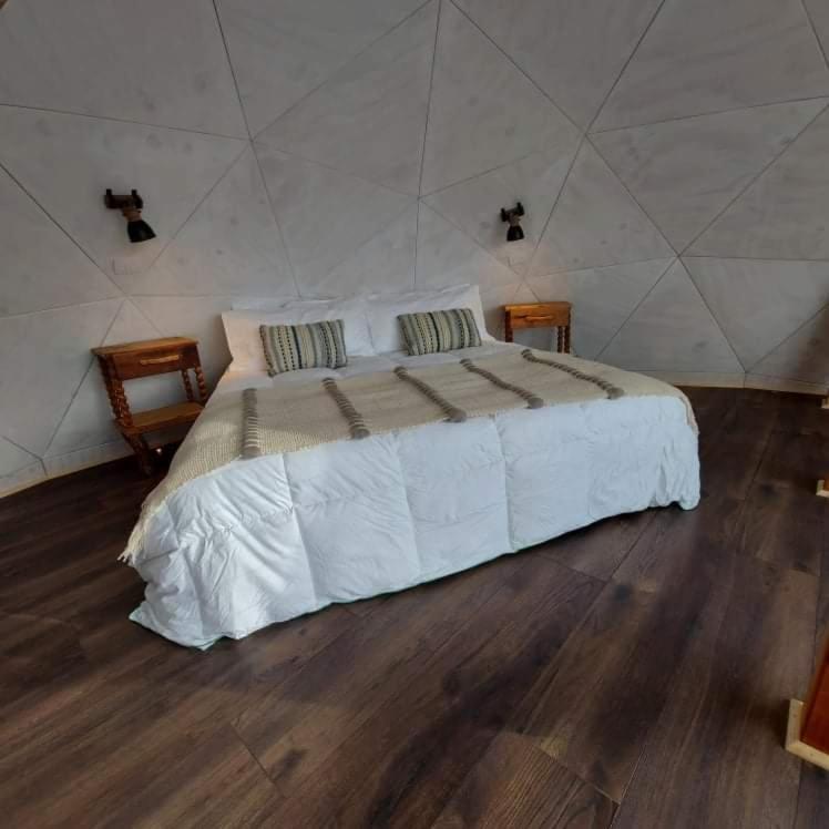 Dome With Stunning Glacier & Mountain Views プエルト・ナタレス エクステリア 写真