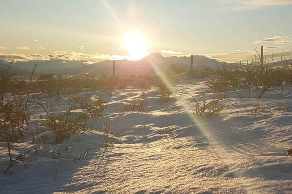 Dome With Stunning Glacier & Mountain Views プエルト・ナタレス エクステリア 写真